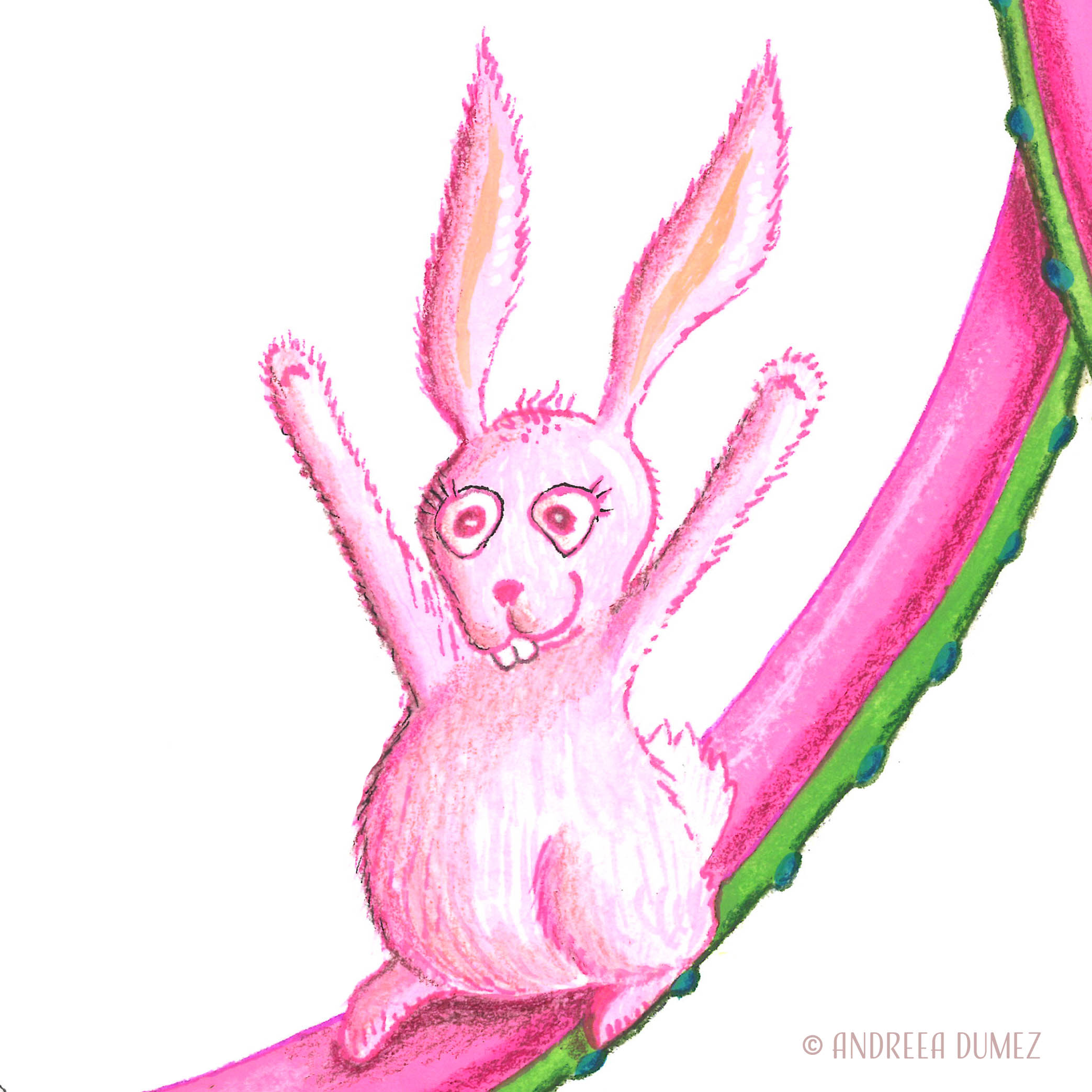  A cute pink bunny jumping. 