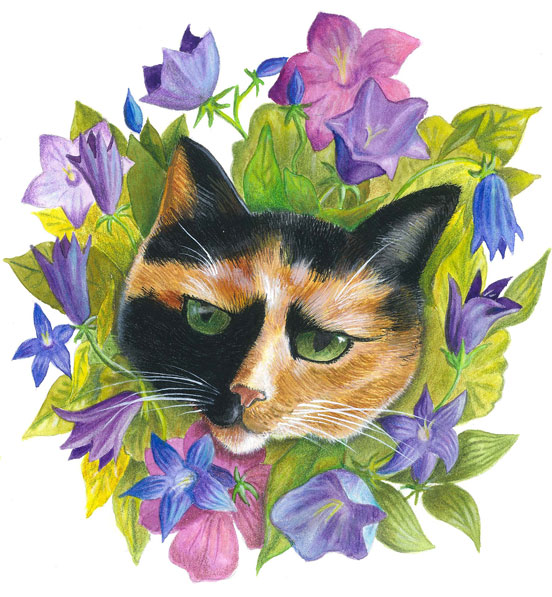 Illustration of a calico cat surrounded by a botanical print of bellflowers