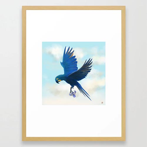 Lear's Macaw Framed Bird Illustration Print by Andreea Dumez
