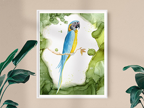 Blue and Yellow Macaw Art Print