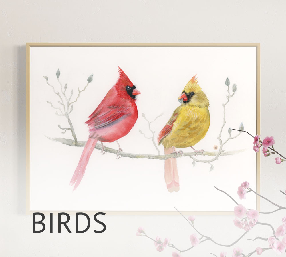 A pair of cardinal birds art