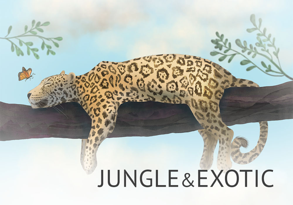 Sleeping Jaguar on a branch - exotic wall art 