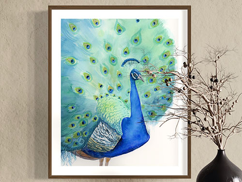 Peacock No1 – Art Print