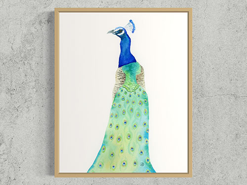 Peacock No2 – Art print