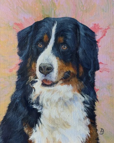 Bernese Mountain Dog Portrait. Pet portrait painting on canvas panel, by Andreea Dumez
