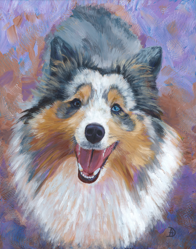 Australian-Shepherd-Dog-Portrait Australian Shepherd Mix - Dog Portrait